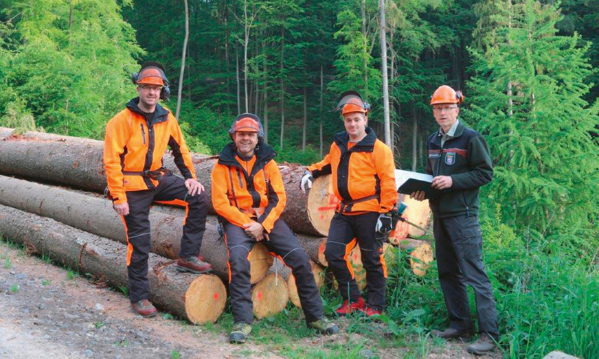 3 Wer im Wald arbeitet, begleitet die Natur durch alle Jahreszeiten