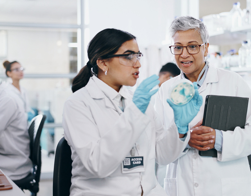 In Ländern mit dualem Ausbildungssystem bieten KMU bis zu 70 % aller Ausbildungsplätze an.