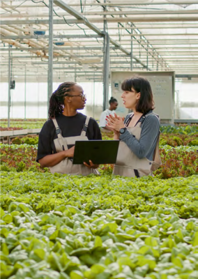 Zukunftsfähige Berufsbilder: Zahlreiche Bildungsträger entwickeln bereits heute Ausbildungsprogramme für Berufe, die sich durch die Digitalisierung und den Klimawandel in der Transformation befinden. Diese Programme tragen dazu bei, die Fachkräfte von morgen zu qualifizieren und somit den wachsenden Bedarf an spezialisierter Expertise zu decken.