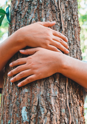 Seit August 2021 wurden in 29 neuen oder modernisierten Ausbildungsberufen ­­(ca. 9 % aller Ausbildungsberufe) verpflich­tende Mindeststandards zu Nachhaltigkeit und Umweltschutz in die Lehrpläne aufgenommen.