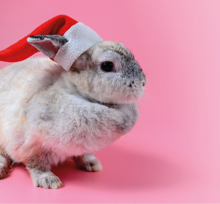 Die Situation auf dem Ausbildungsmarkt verdeutlicht eines der drängendsten Probleme: Angebot und Nachfrage passen vielerorts nicht zusammen — regional, beruflich und qualifikatorisch.